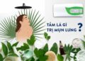 Tắm lá gì trị mụn lưng? 10 cách tắm lá hiệu quả nhất