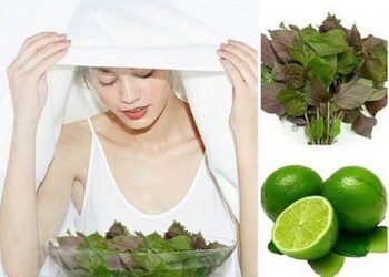 7 cách xông mặt bằng lá tía tô hiệu quả tại nhà, dễ làm