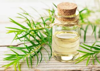 Các loại tinh dầu tràm tốt trên thị trường