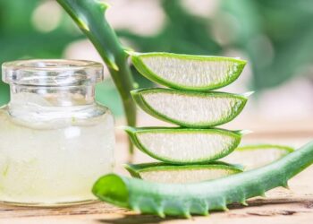 Chi tiết về công dụng trị thâm nách bằng nha đam